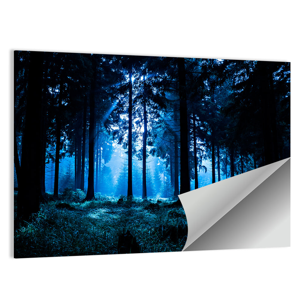 Thuringia Night Forest Wall Art
