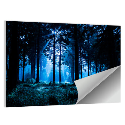 Thuringia Night Forest Wall Art