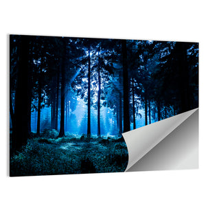 Thuringia Night Forest Wall Art