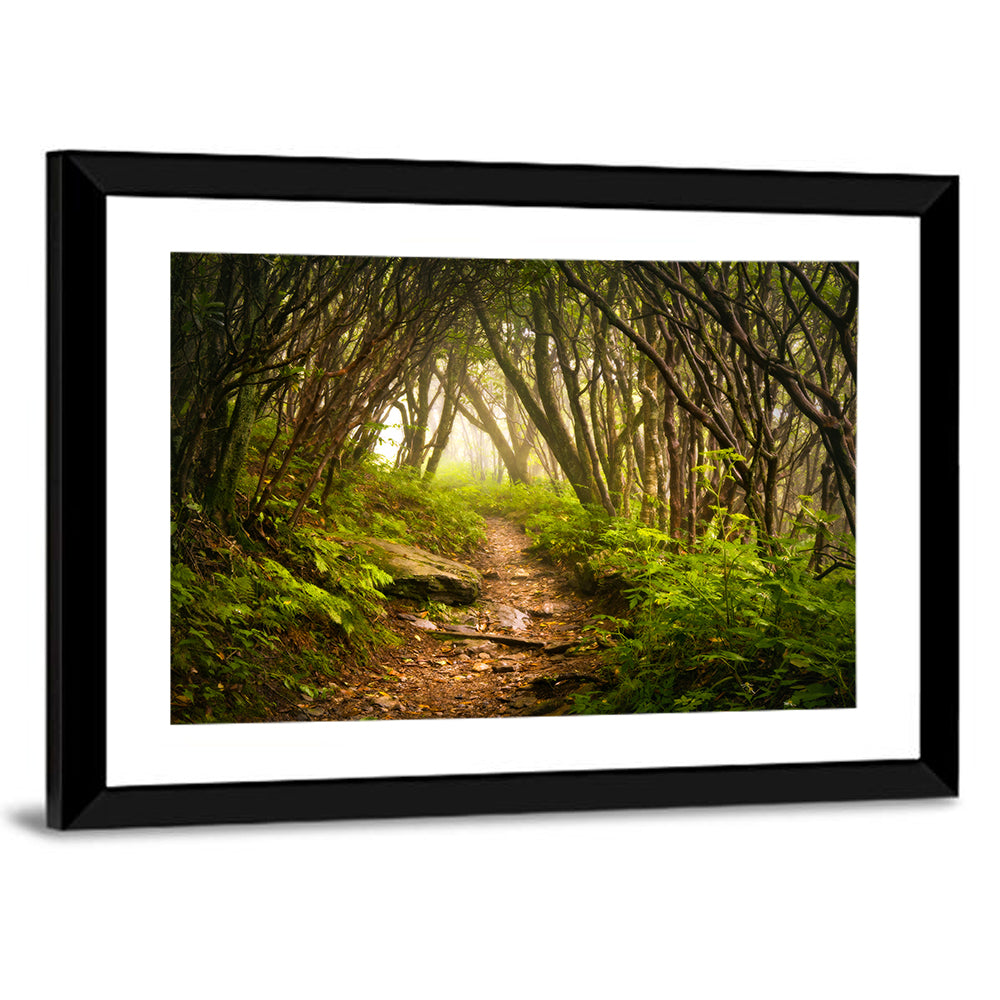 Craggy Gardens Hiking Trail Wall Art