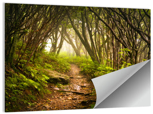 Craggy Gardens Hiking Trail Wall Art