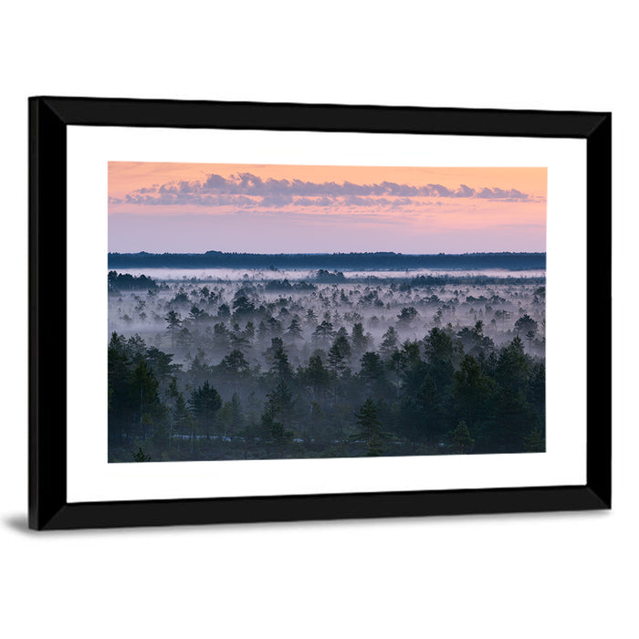 Estonian Misty Pine Landscape Wall Art as a framed print