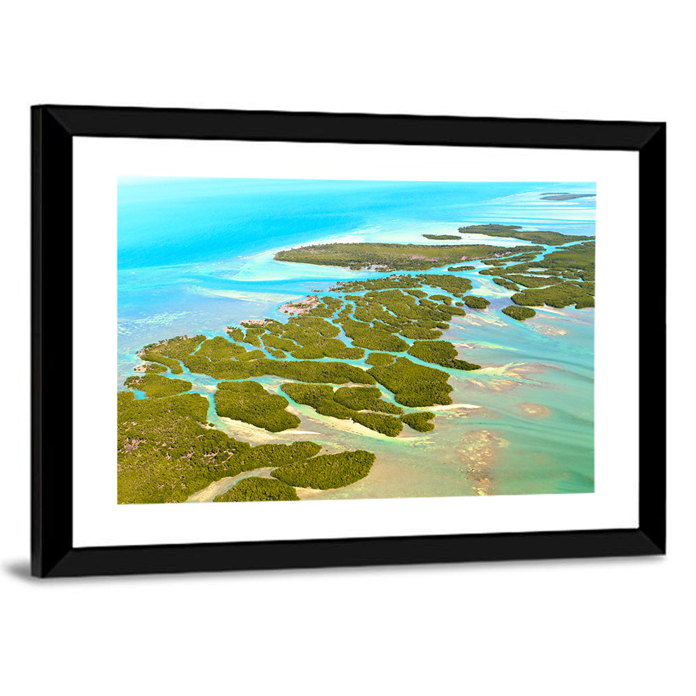 Florida Keys Mangrove Islands Wall Art