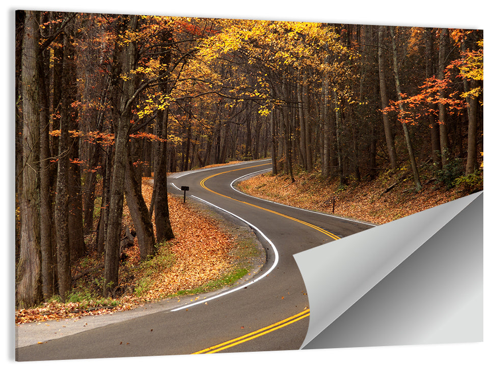 S-curve Road Through Autumn Forest Wall Art