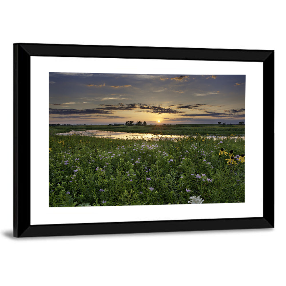 Illinois Fields Sunset Wall Art