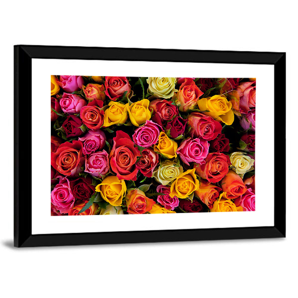 Multicolored Roses Close-up Wall Art