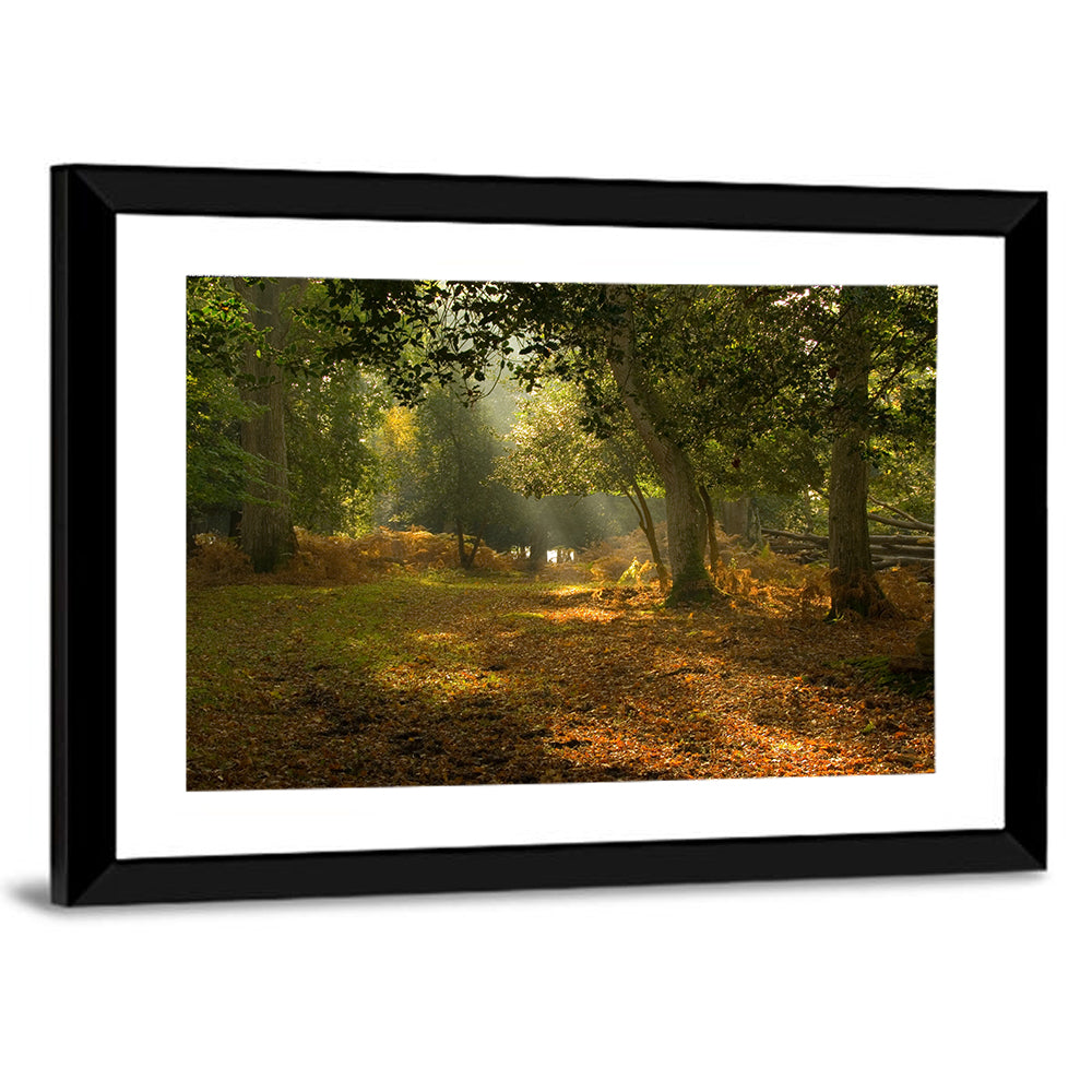 Autumn Forest Path, Hampshire Wall Art