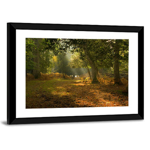 Hampshire New Forest National Park Wall Art