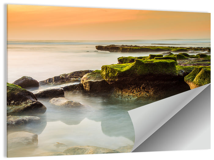 Mossy Rocky Coastline at Golden Hour Wall Art as a poster print