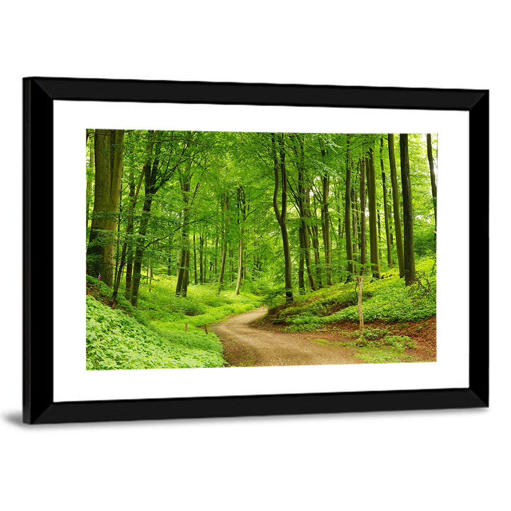 Sunlit Forest Path Wall Art