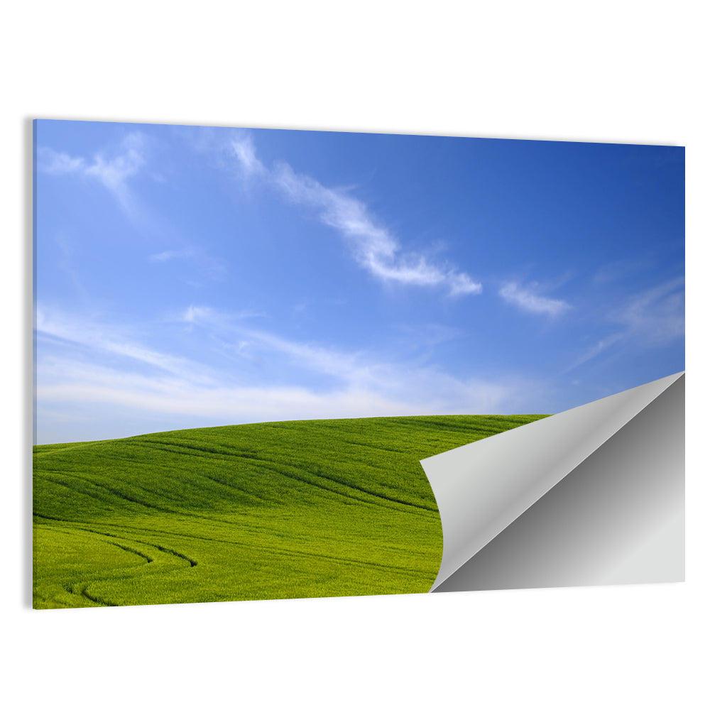 Green Hill And Blue Sky Wall Art
