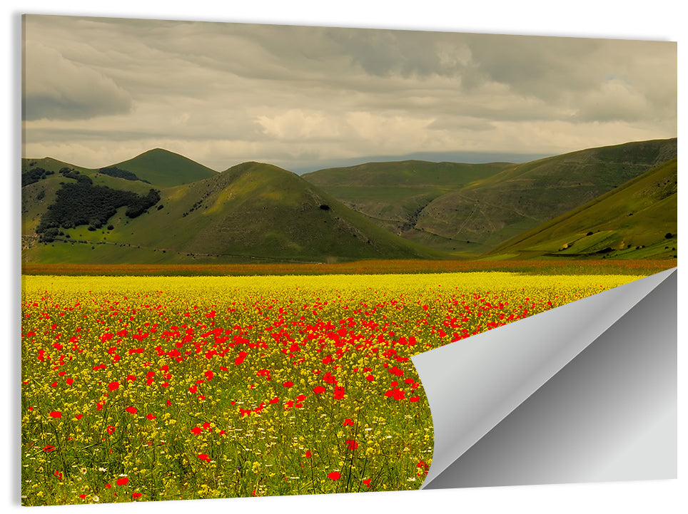 Castelluccio Wildflower Meadow Wall Art