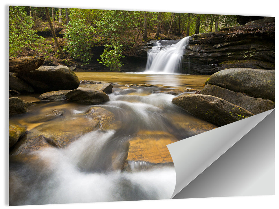 South Carolina Forest Waterfall Wall Art