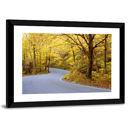 Road Through Fall Foliage Wall Art