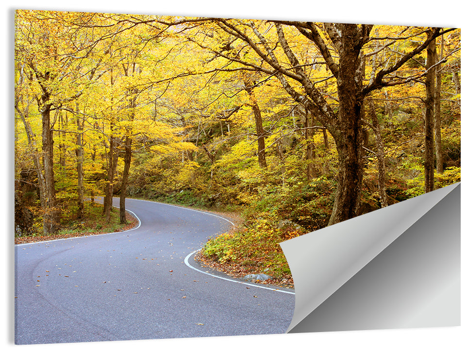 Winding Road Through Autumn Foliage Wall Art