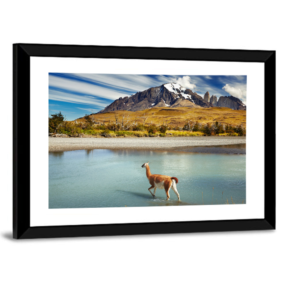 Torres Del Paine, Patagonia Wall Art