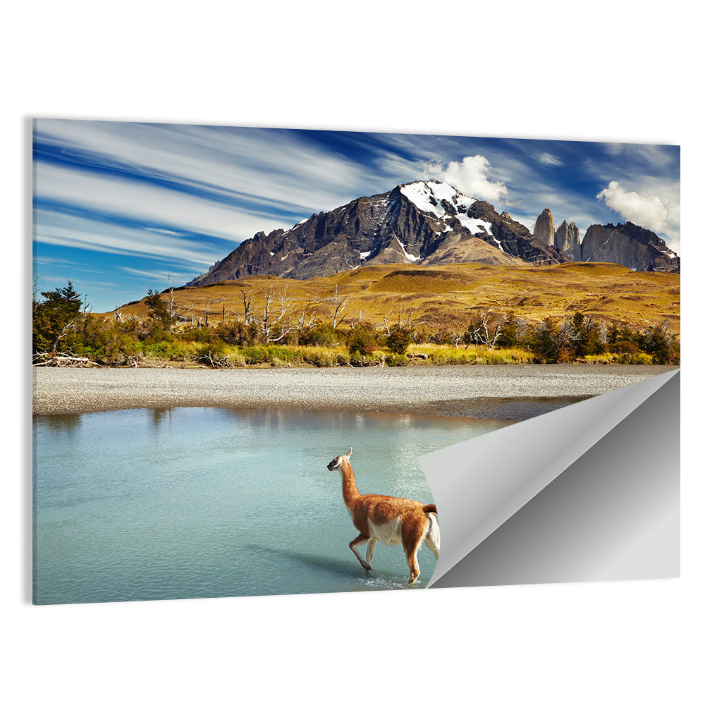Patagonia National Park Wall Art