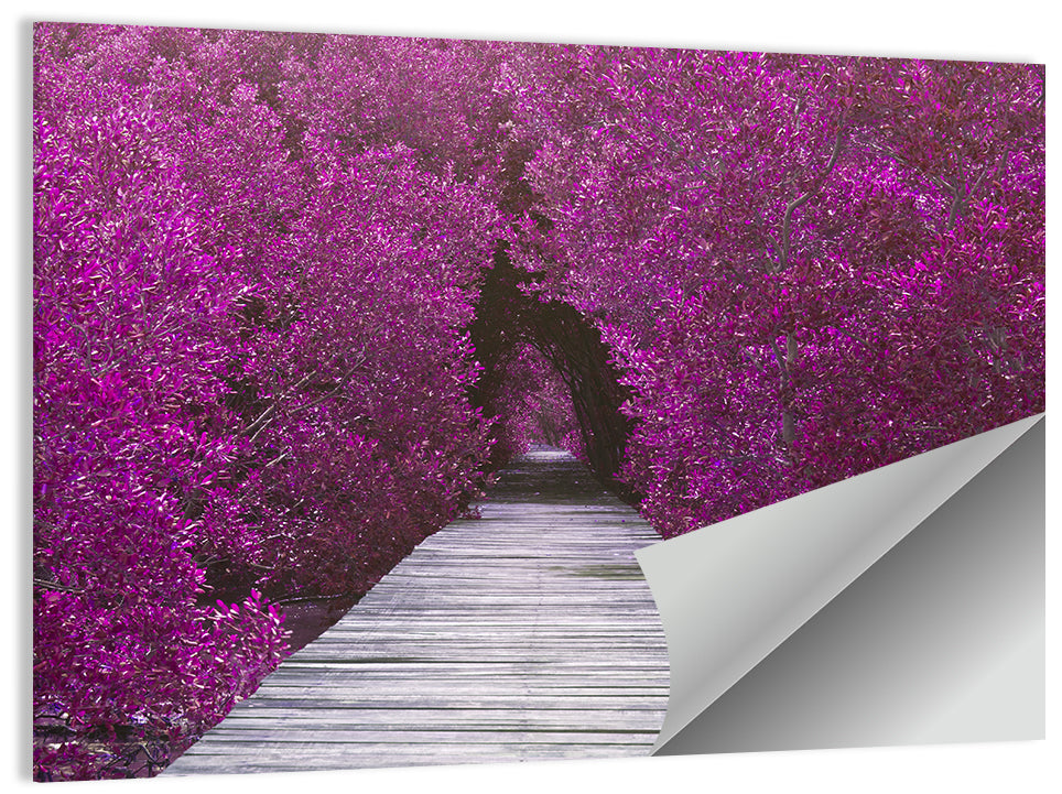 Magenta Mangrove Pathway Wall Art