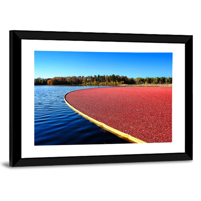 Flooded Cranberry Bog Wall Art as a framed print