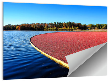 Flooded Cranberry Bog Wall Art