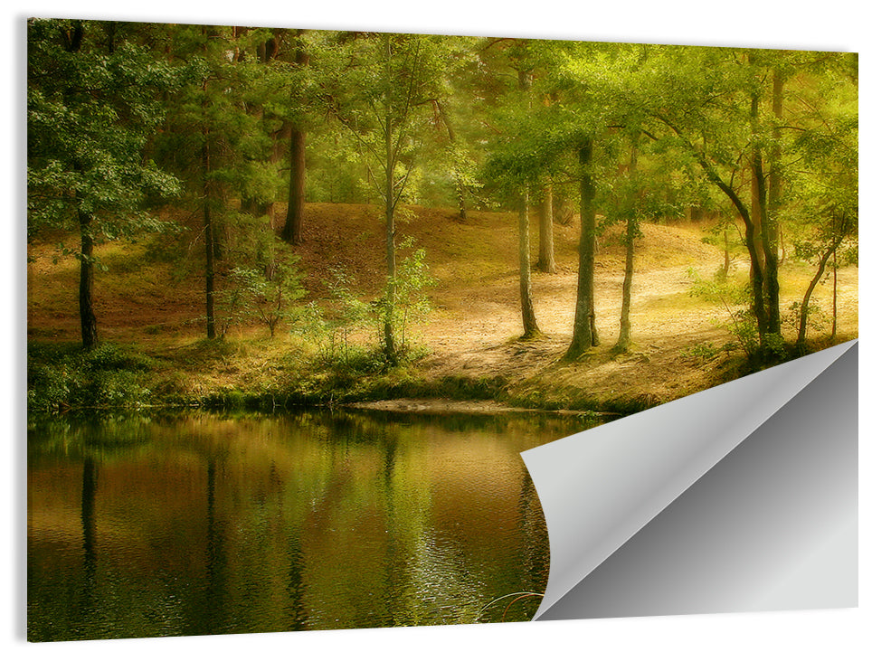 Forest Pond at Golden Hour Wall Art