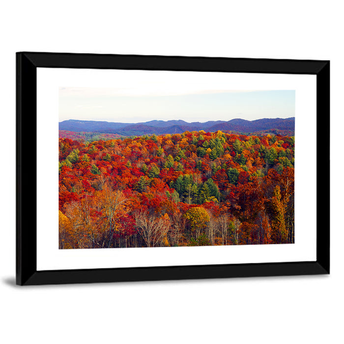 Autumn in the Appalachian Forest Wall Art as a framed print