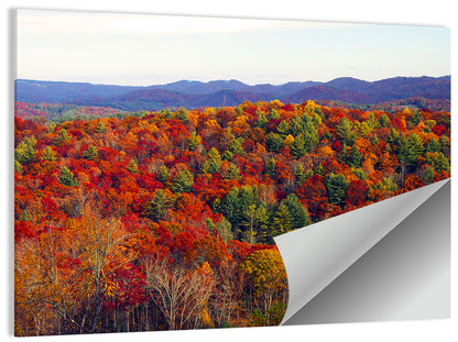 Appalachian Mountains Forest Wall Art