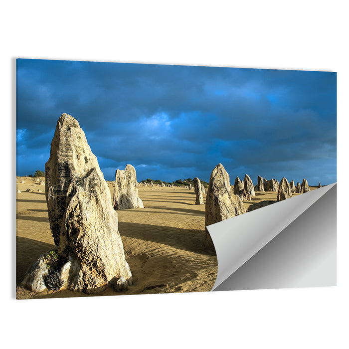 Pinnacles Desert at Golden Hour Wall Art as a poster print