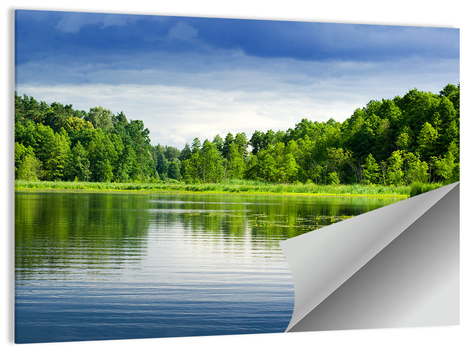Mazury Forest Lake Wall Art