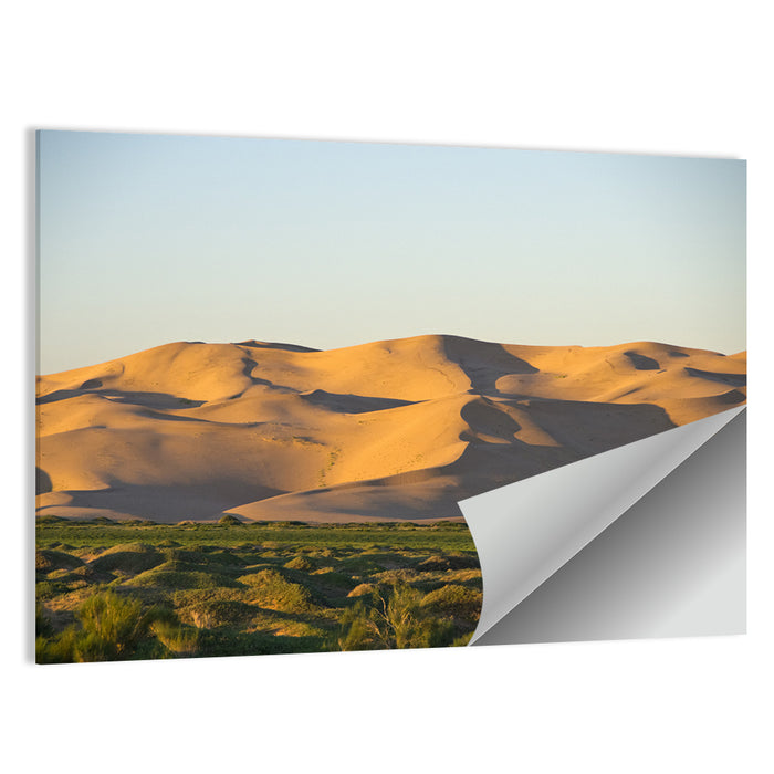 Goby Desert Dunes Wall Art as a poster print