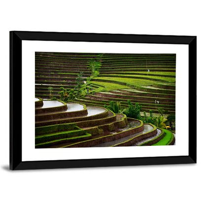 Rice Terraces Wall Art