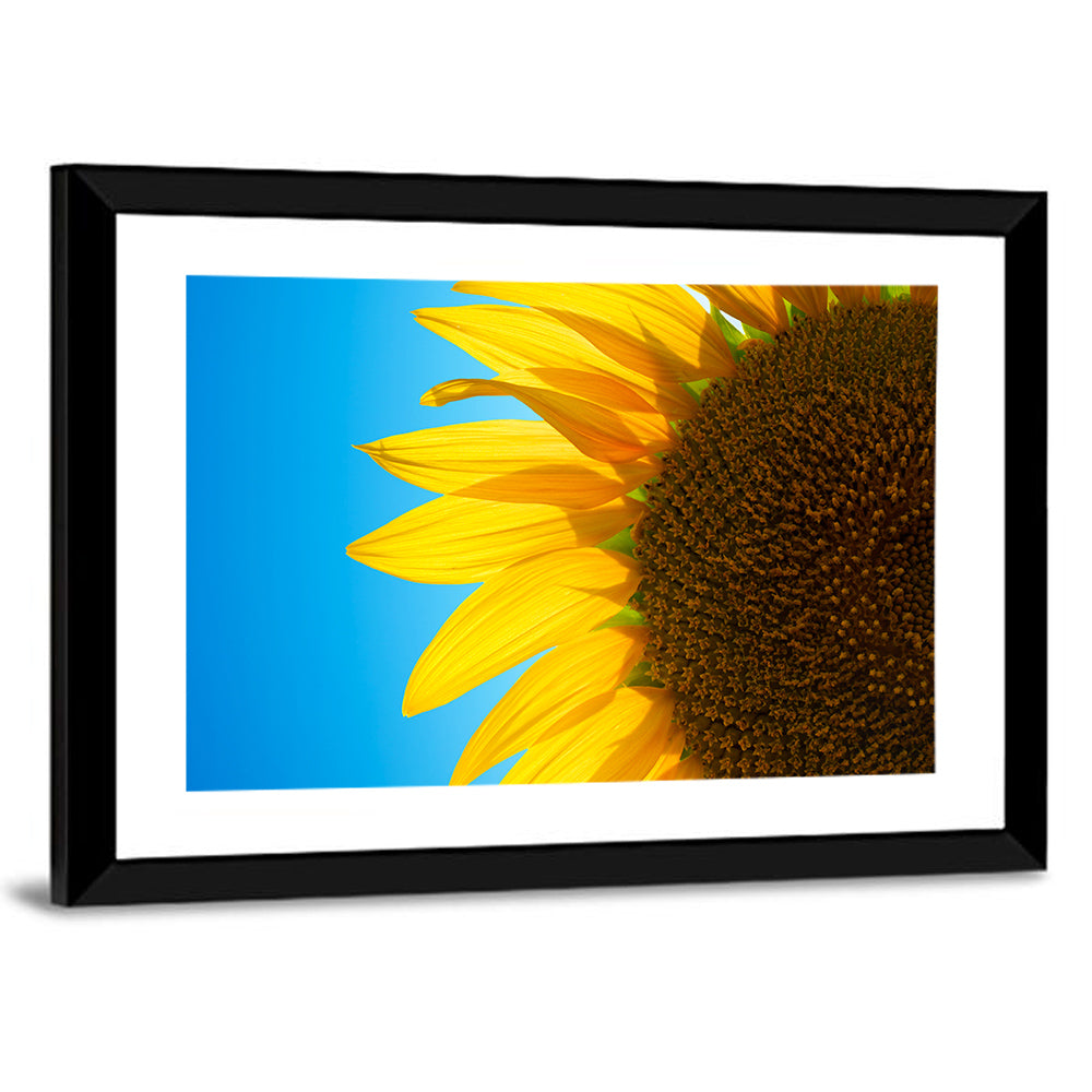 Sunflower Close-up Wall Art