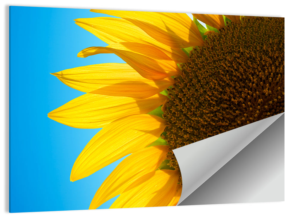 Sunflower Close-up Wall Art