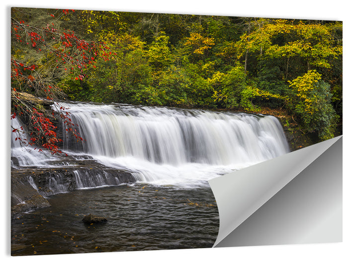 Dupont State Forest Autumn Waterfall Stream Wall Art as a poster print