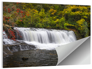 Dupont State Forest Stream Wall Art