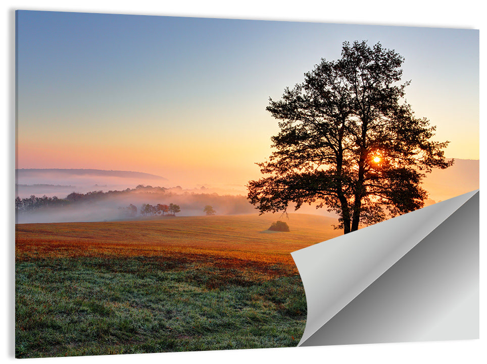Misty Meadow Sunrise with Lone Tree Wall Art