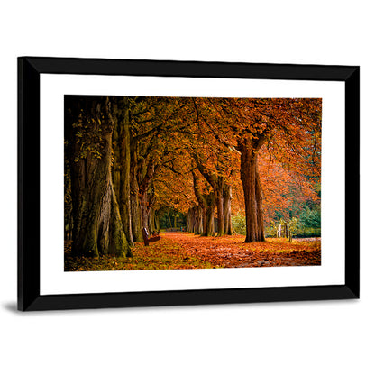Forest Autumn Pathway Wall Art