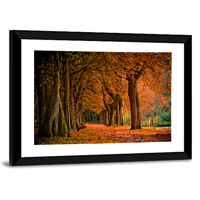 Autumn Forest Pathway Wall Art as a framed print