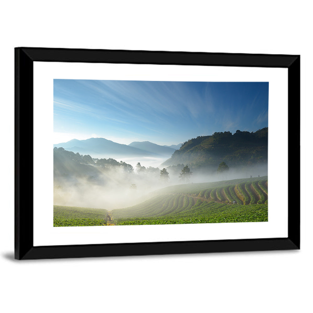 Sunlit Terraced Tea Hills Wall Art