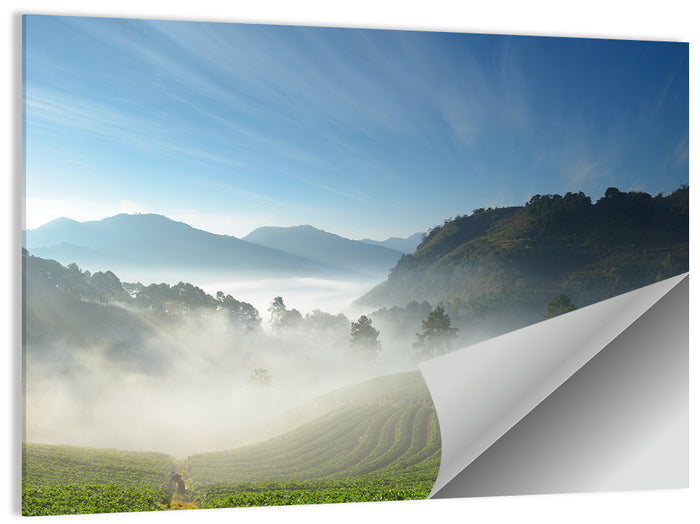 Sunlit Terraced Tea Hills Wall Art as a poster print