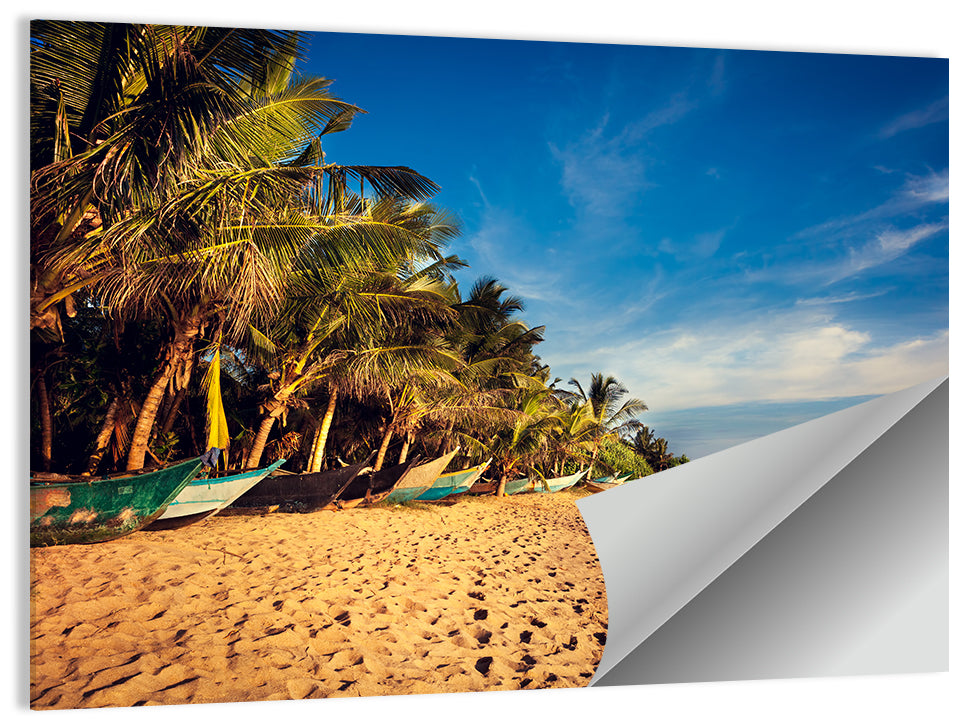 Mirissa Beach Morning Light Wall Art