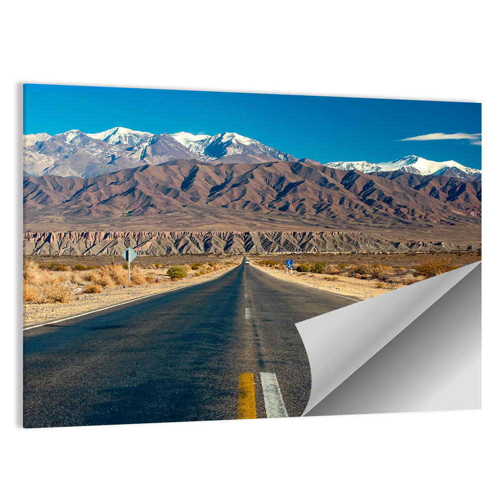 Northern Argentina Road Wall Art