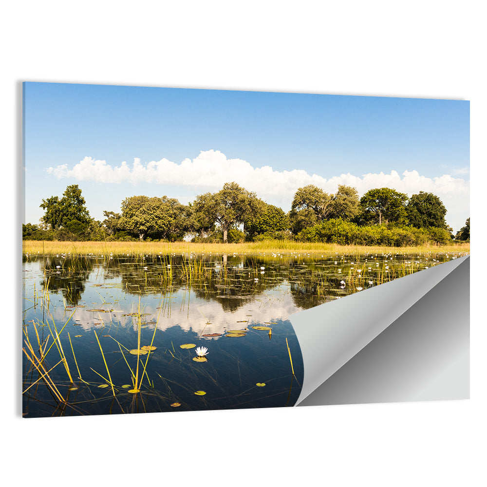 Okavango Delta Wall Art