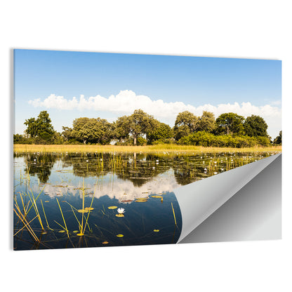 Okavango Delta Wall Art