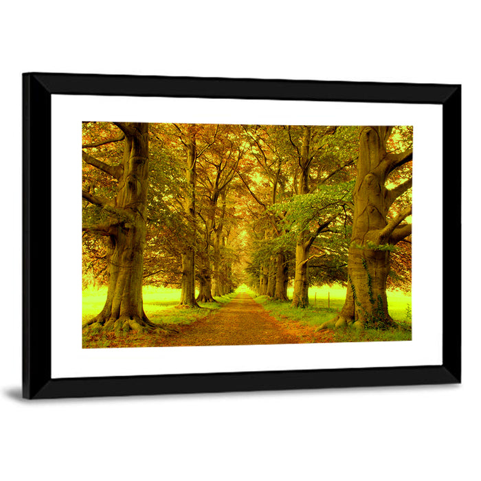 Beech Tree Lane at Golden Hour Wall Art as a framed print