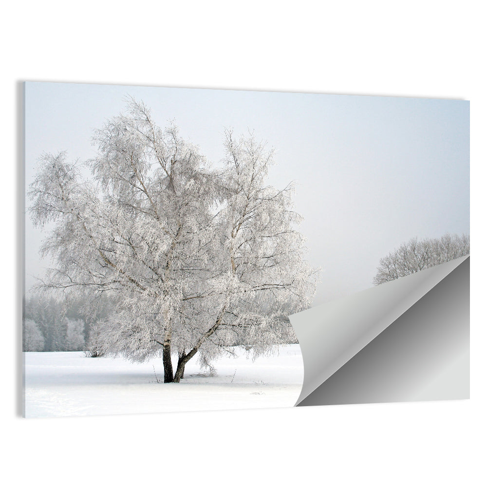 Frosted Birch Grove Wall Art