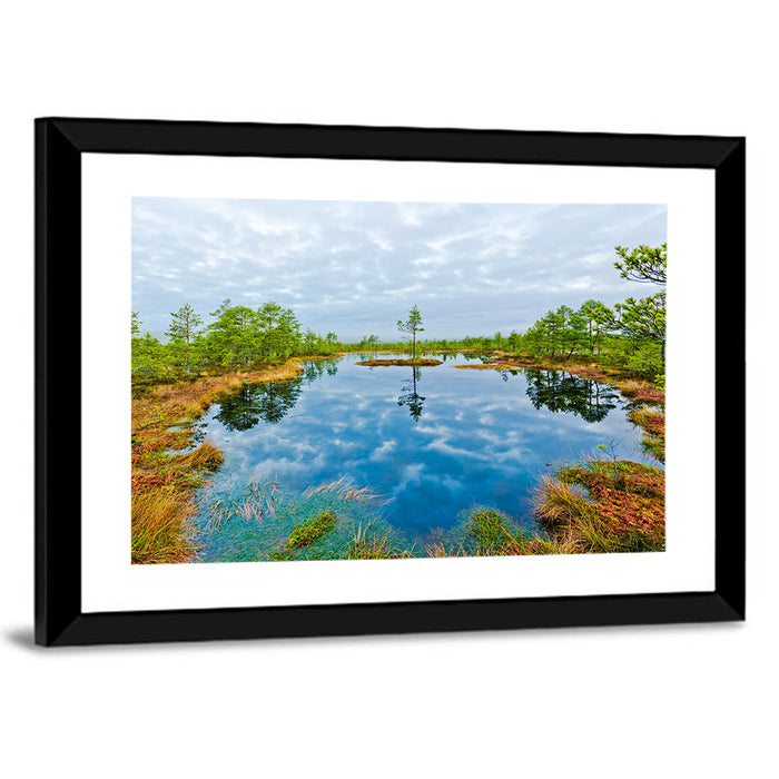 Viru Bog Reflections Wall Art as a framed print