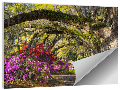 Azalea Flowers Garden Wall Art