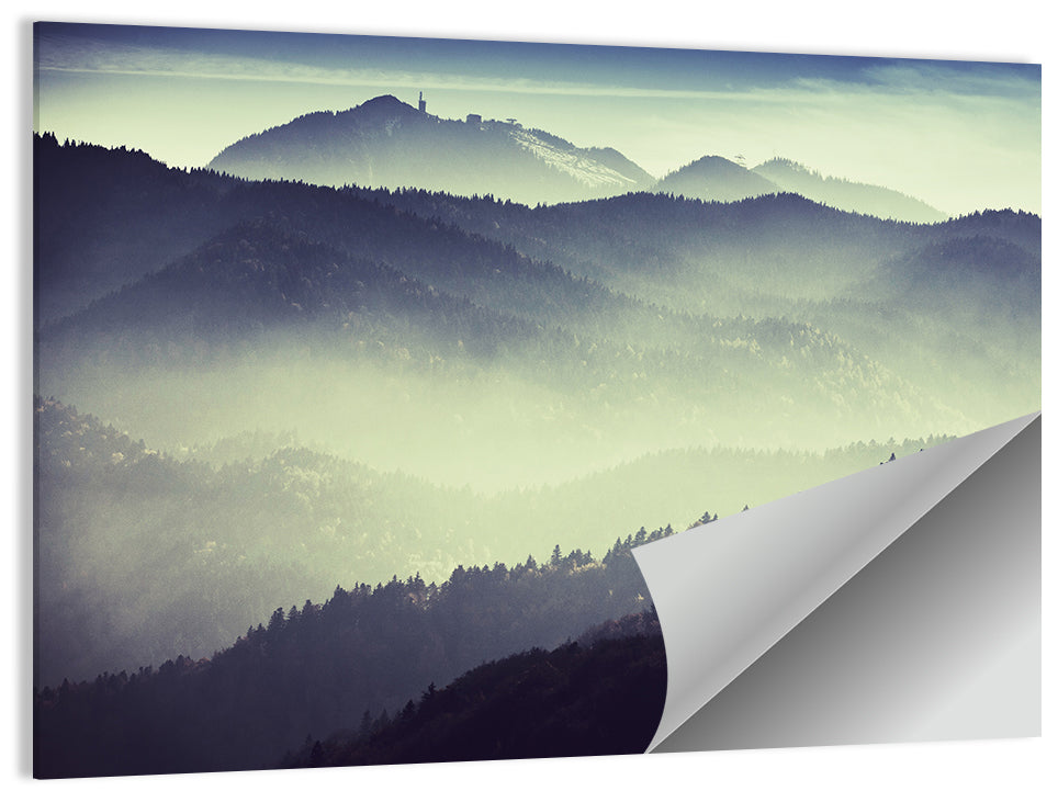 Foggy Forest Valley Wall Art