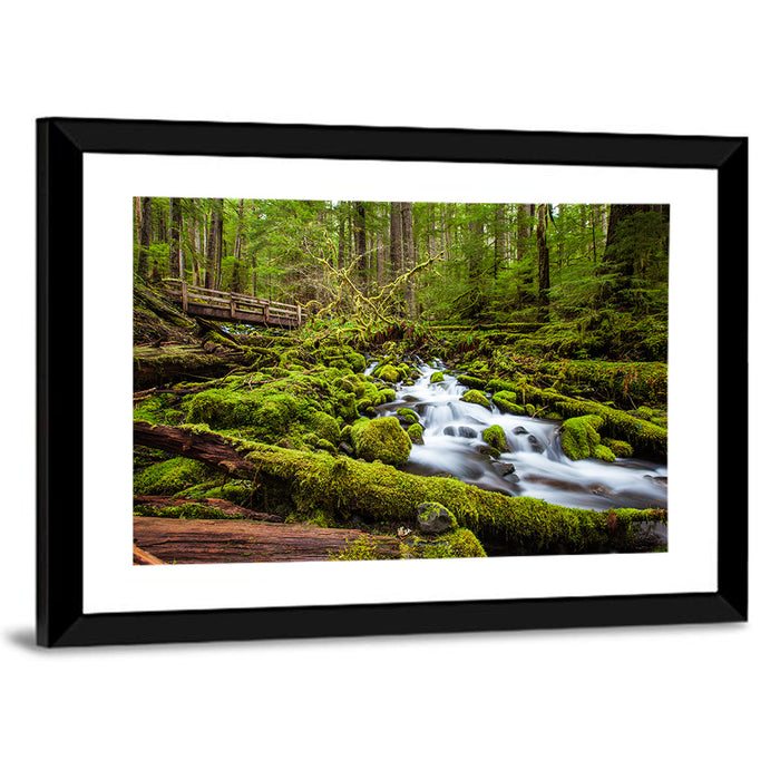Mossy Cascade Forest Stream Wall Art as a framed print